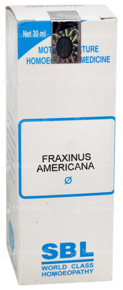 Sbl Fraxinus Americana Q Mother Tincture 30Ml Sbl Fraxinus Americana Q Mother Tincture 30Ml